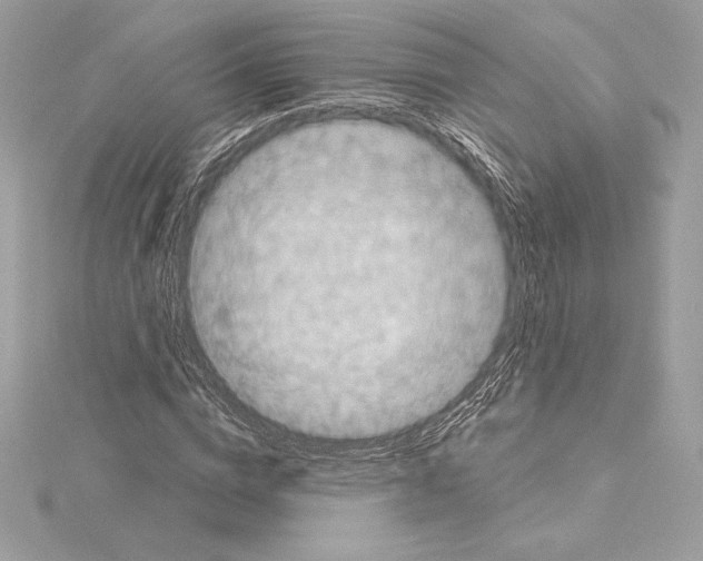 X0000114440824200911271636
