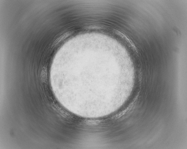 X0000114440825200911271636