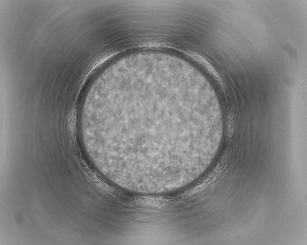 X0000114440831200911271636