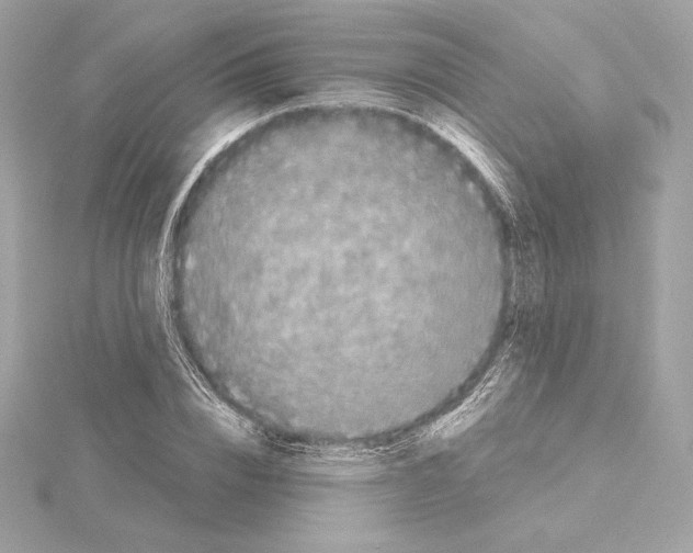 X0000114440832200911271636