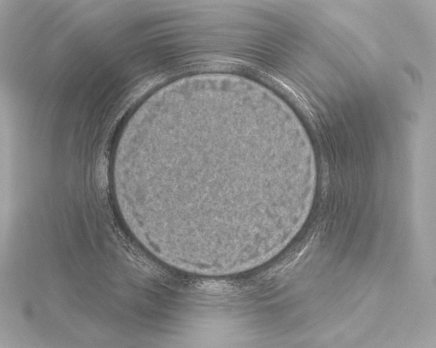 X0000114440835200911271636