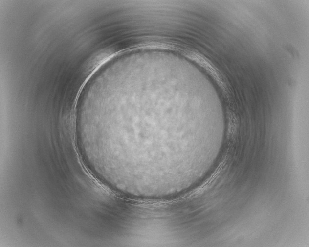 X0000114440836200911271636