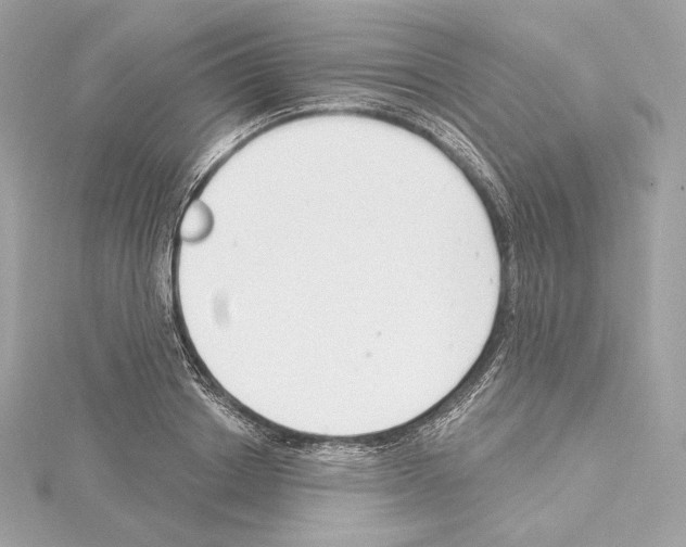 X0000114440842200911271636