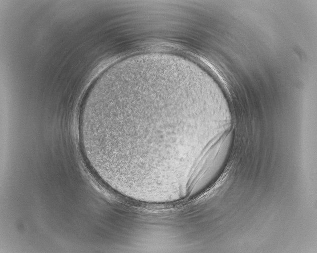 X0000114440843200911271636