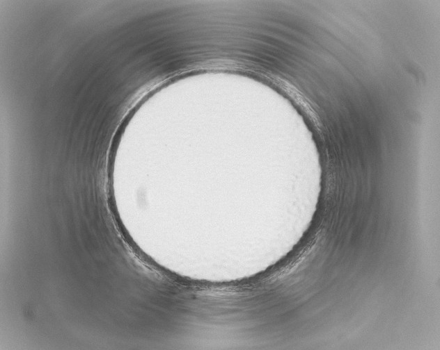 X0000114440845200911271636