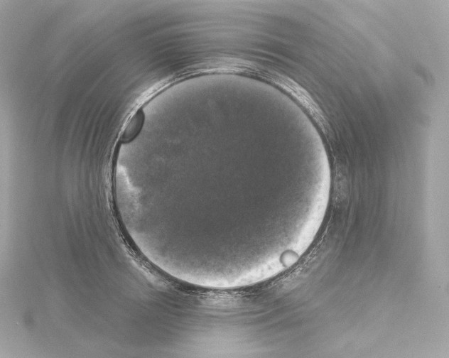 X0000114440850200911271637
