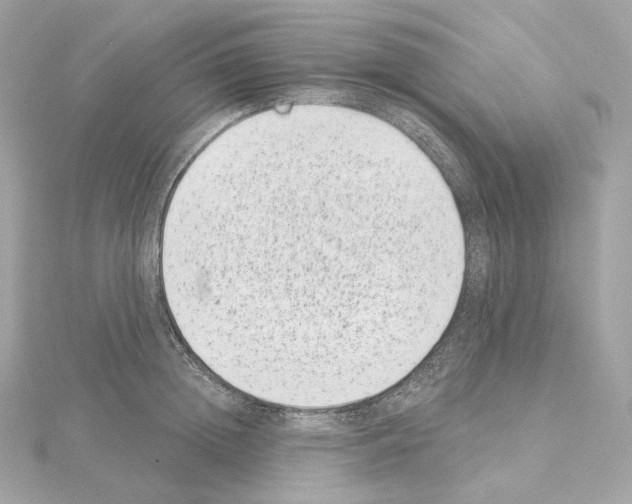 X0000114440852200911271637