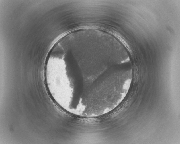 X0000114440853200911271637