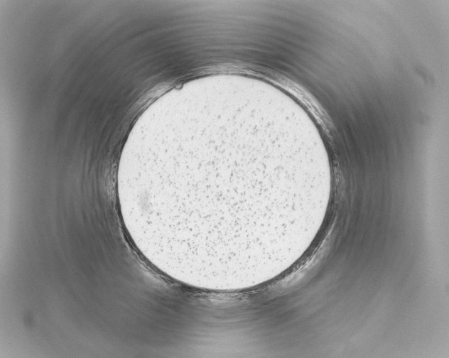 X0000114440857200911271637