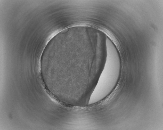 X0000114440858200911271637