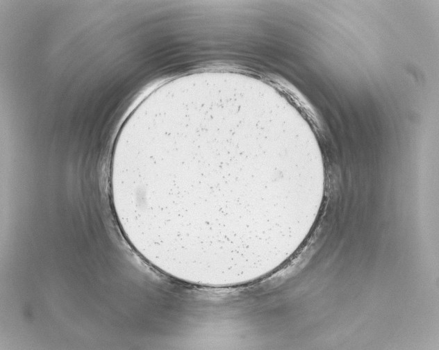 X0000114440860200911271637