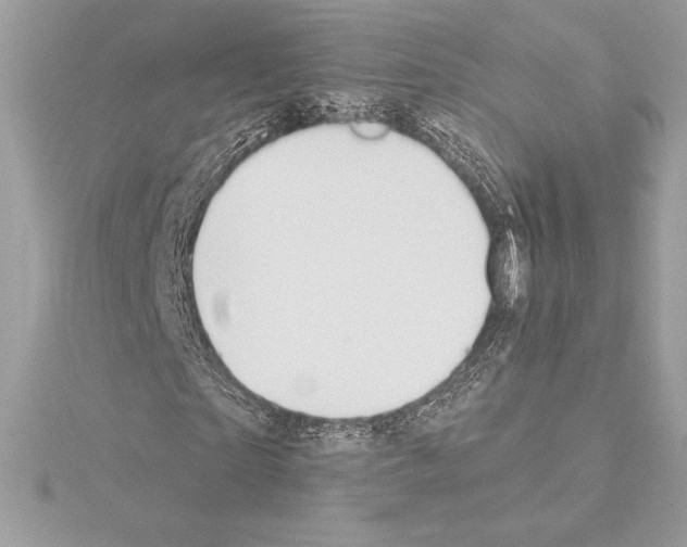 X0000114440865200911271636