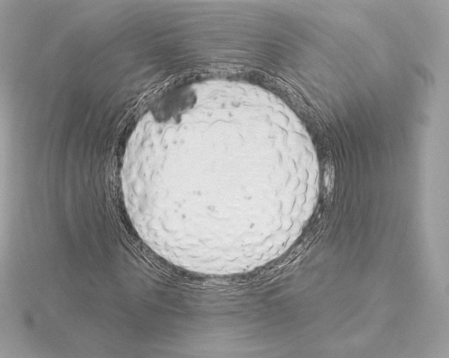 X0000114440867200911271636