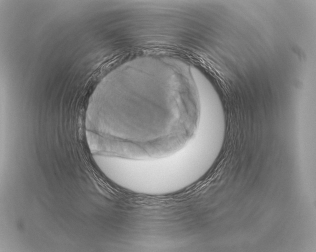 X0000114440868200911271636