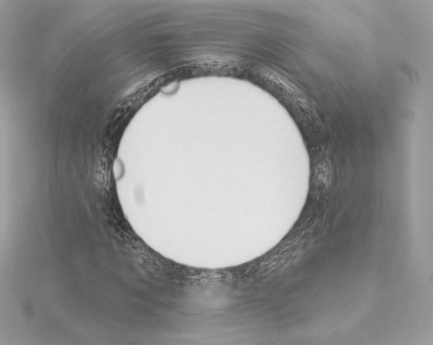 X0000114440869200911271636