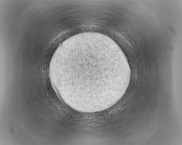 X0000114440870200911271636