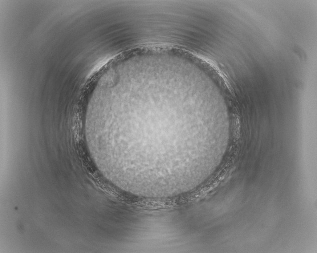 X0000114440871200911271636