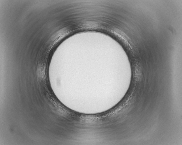 X0000114440873200911271636