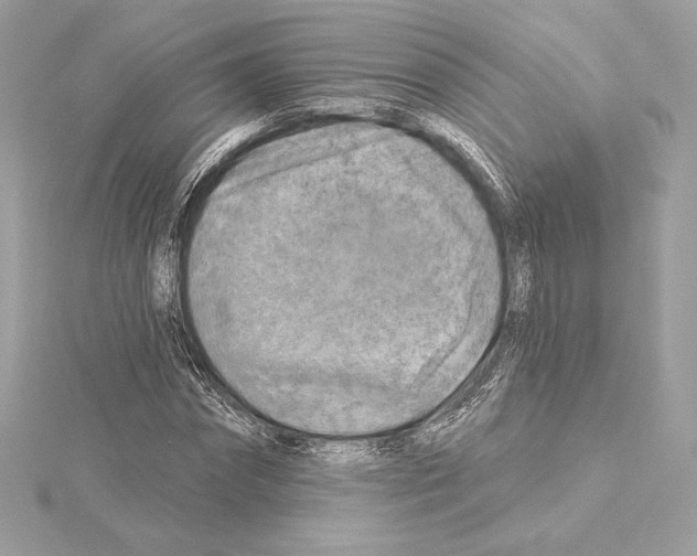 X0000114440874200911271636