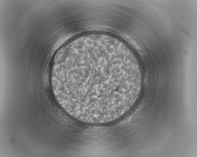 X0000114440877200911271636