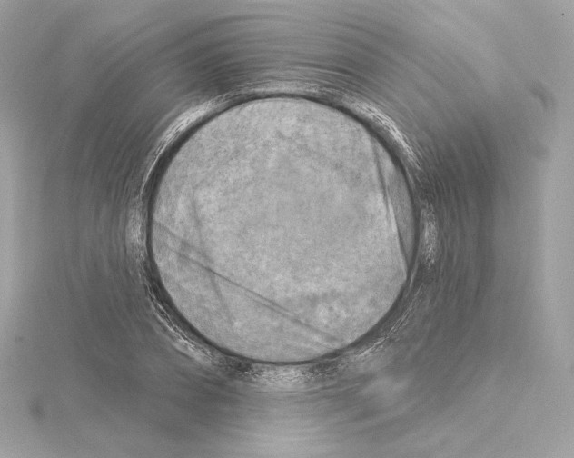 X0000114440882200911271636