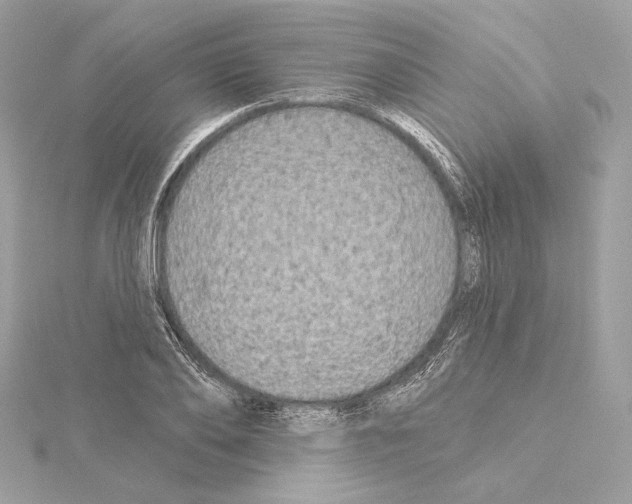X0000114440886200911271636