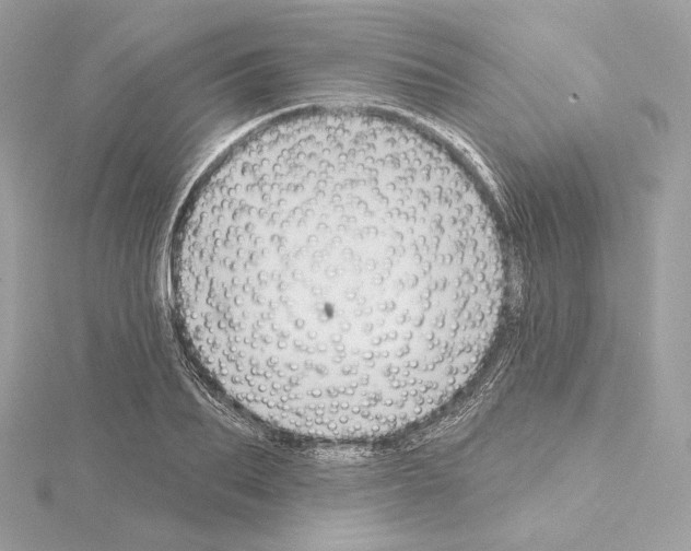 X0000114440887200911271636