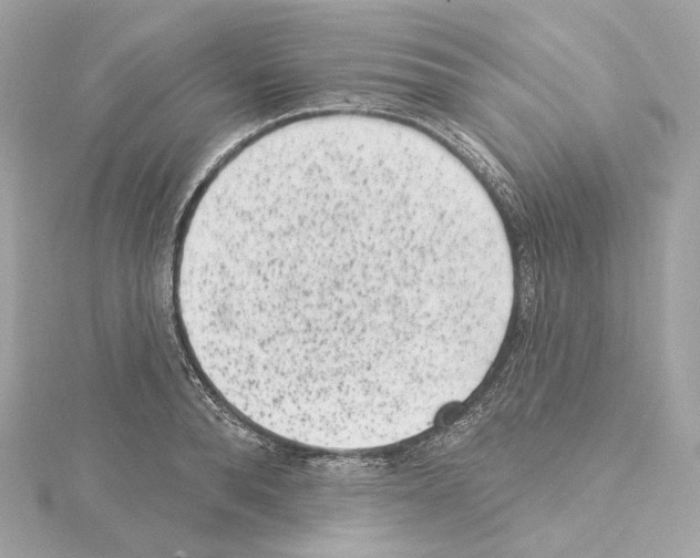 X0000114440896200911271636