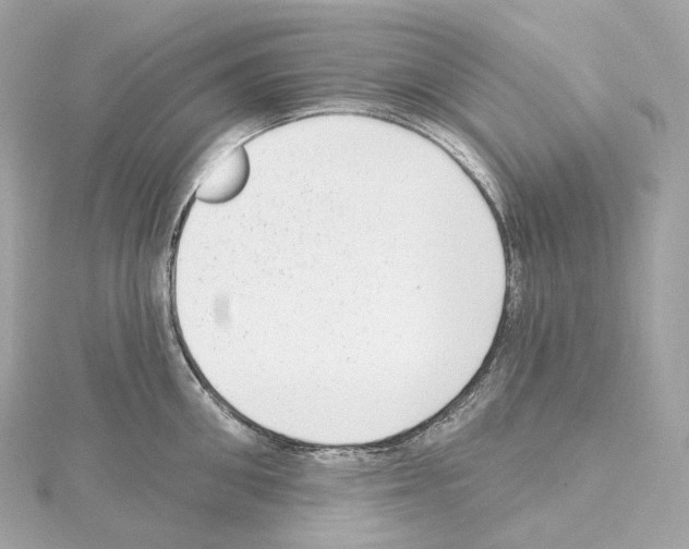 X0000114440906200911271636