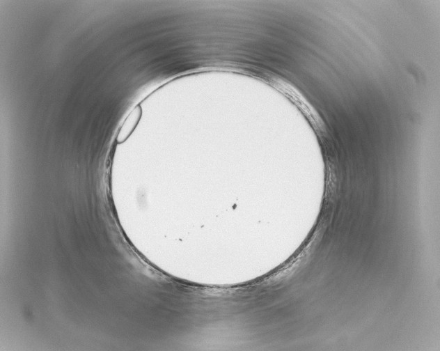 X0000114440908200911271636