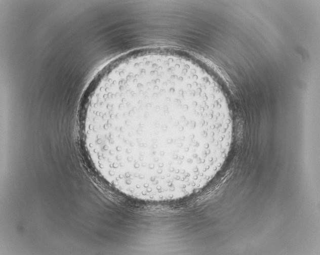 X0000114440927200911271635