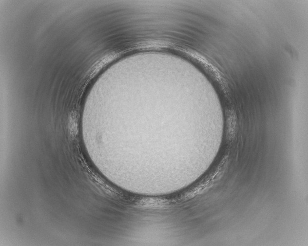 X0000114440929200911271635