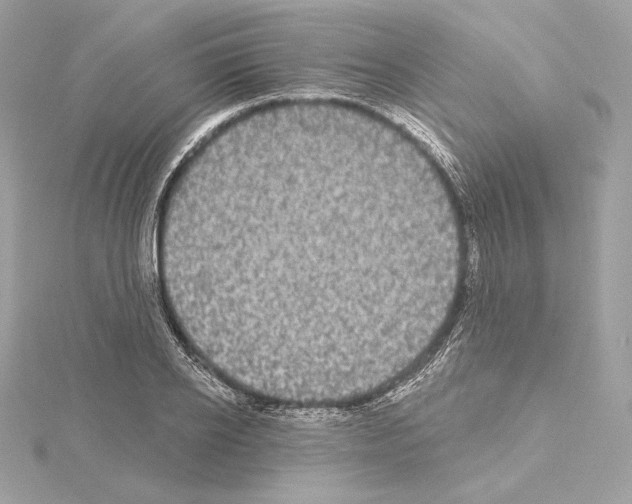 X0000114440934200911271635