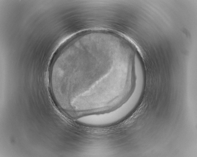 X0000114440935200911271635