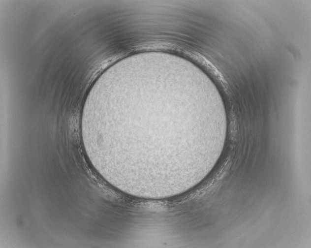 X0000114440937200911271635