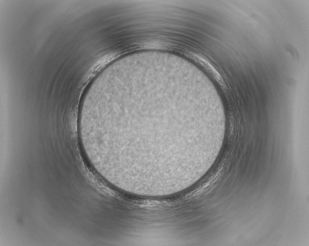 X0000114440938200911271635