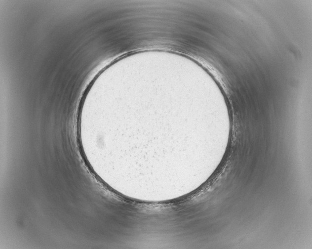 X0000114440949200911271635