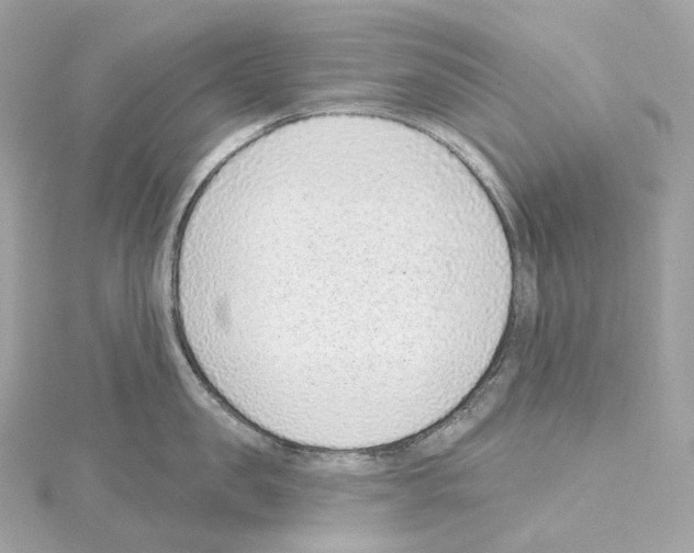 X0000114440957200911271635