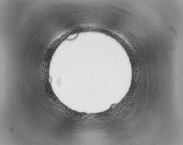 X0000114440967200911271635