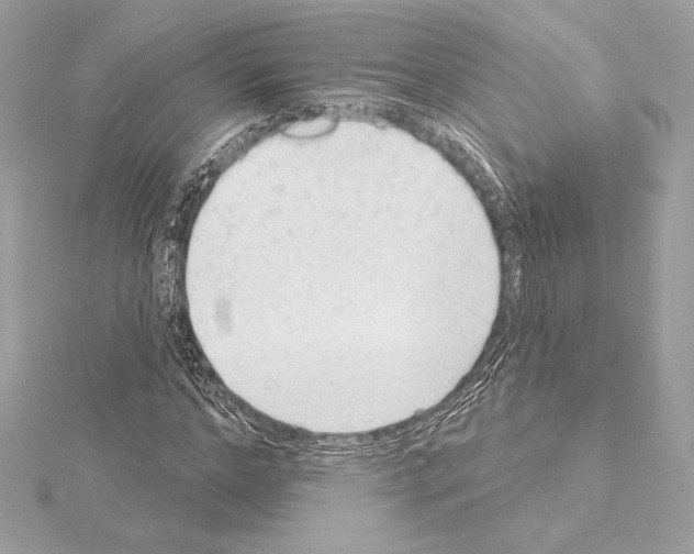 X0000114440968200911271635