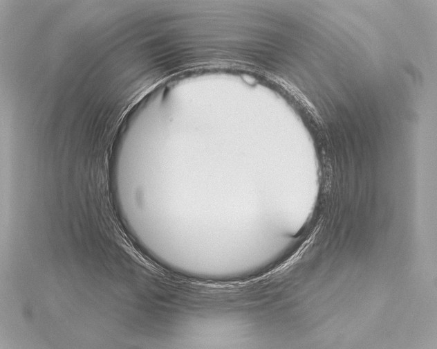 X0000114440969200911271635