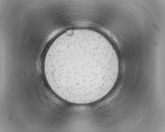 X0000114440970200911271635