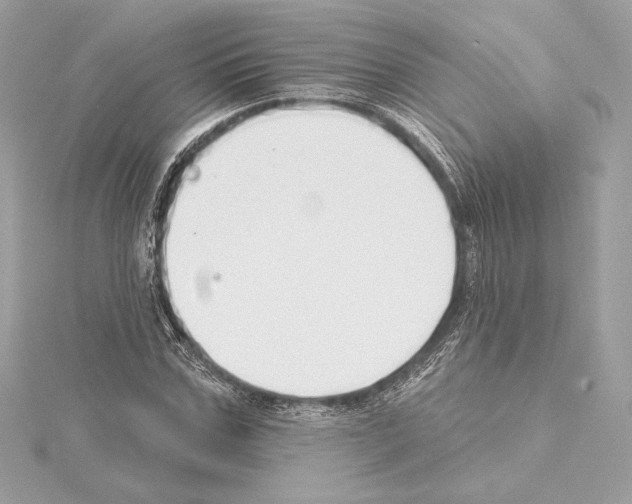 X0000114440971200911271635