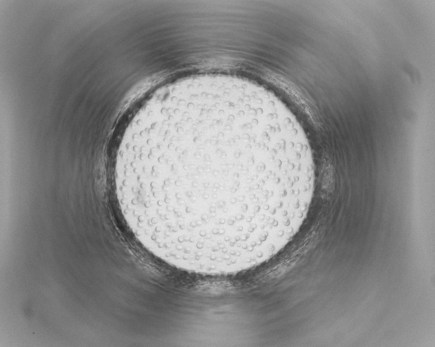 X0000114440978200911271635