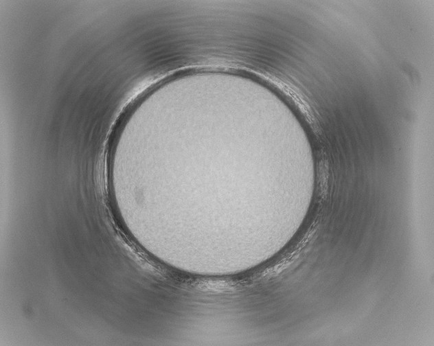 X0000114440982200911271634