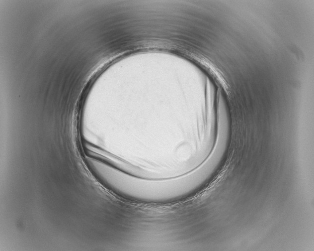 X0000114440983200911271634