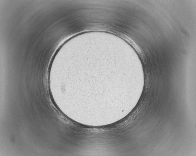 X0000114440996200911271634