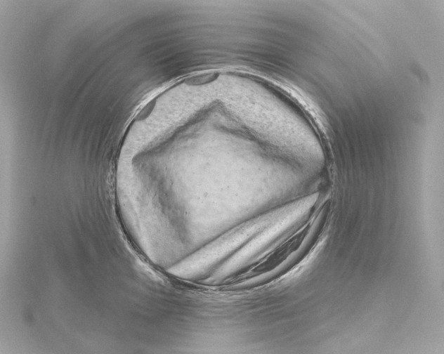 X0000114441001200911271634