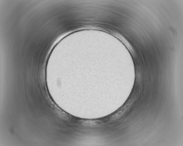 X0000114441004200911271634