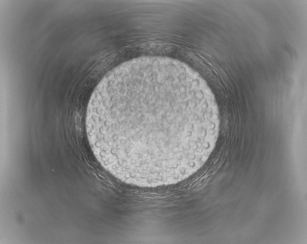 X0000114441010200911271633